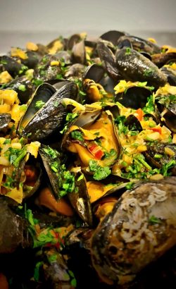 WhatsApp Image 2023-03-25 at 11.07.21